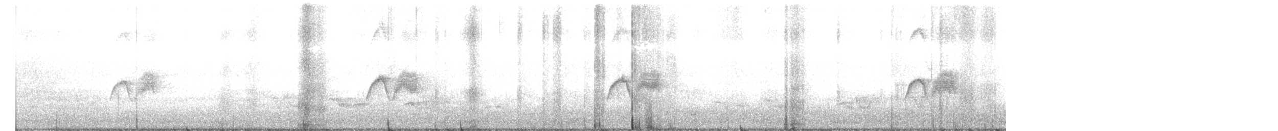 Eastern Phoebe - ML242989631