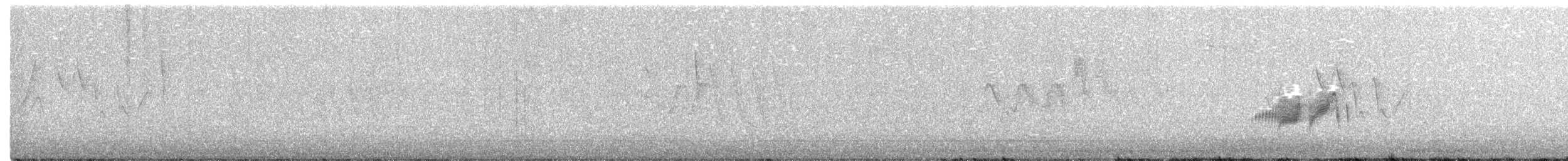 tyranovec olšový - ML242992861