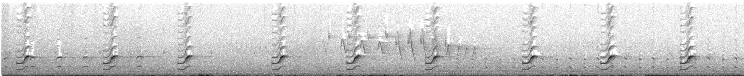 Carolinasumpfhuhn - ML242993011