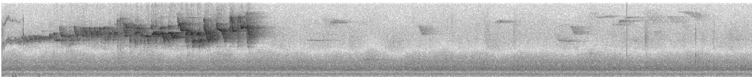 Коронник смугастоголовий (підвид daedalus) - ML242997