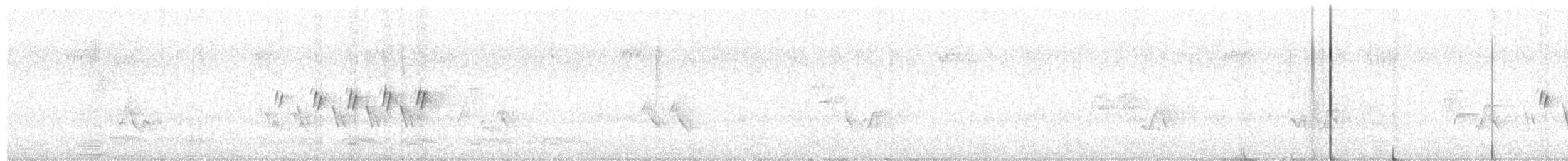 Черногорлая хвойница - ML243005721