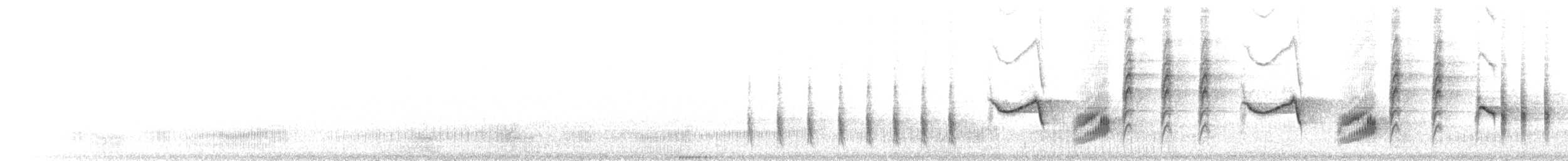Blyth's Reed Warbler - ML243016761