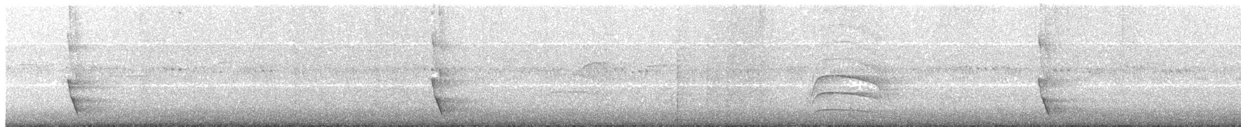 Plush-crested Jay - ML243034911