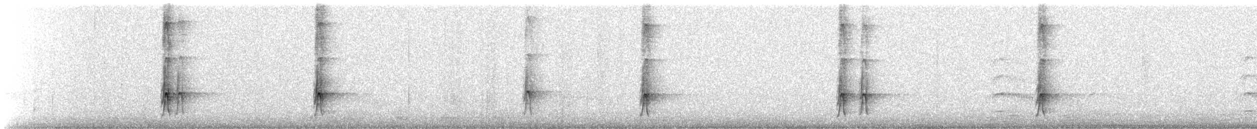 White-spotted Woodpecker - ML243042831