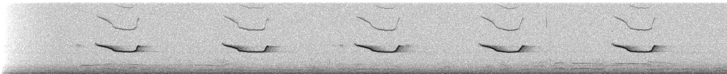 Breitspiegel-Nachtschwalbe (longirostris) - ML243043761