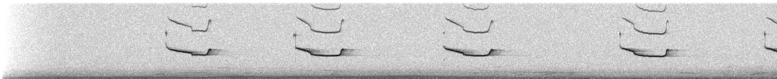 Band-winged Nightjar (longirostris) - ML243047001