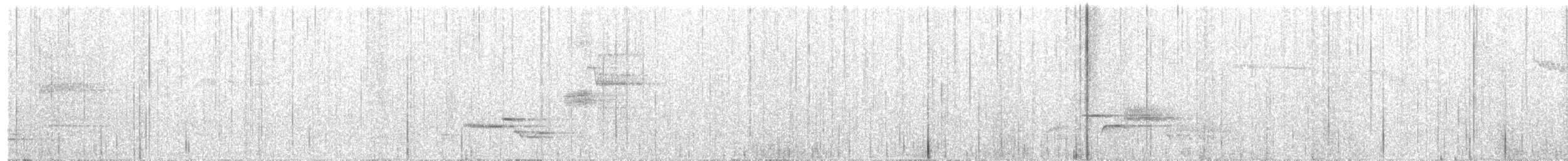 Wood Thrush - ML243048401