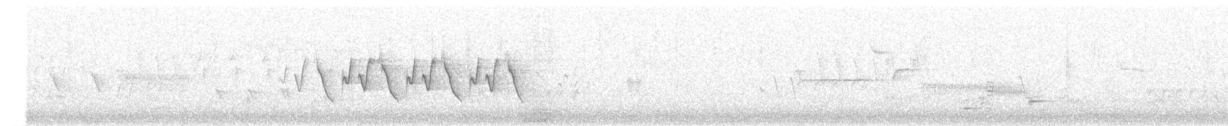 Common Yellowthroat - ML243072281