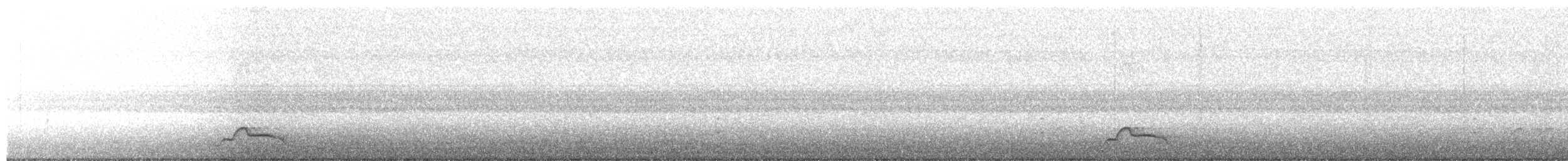 Pauraquenachtschwalbe - ML243074371