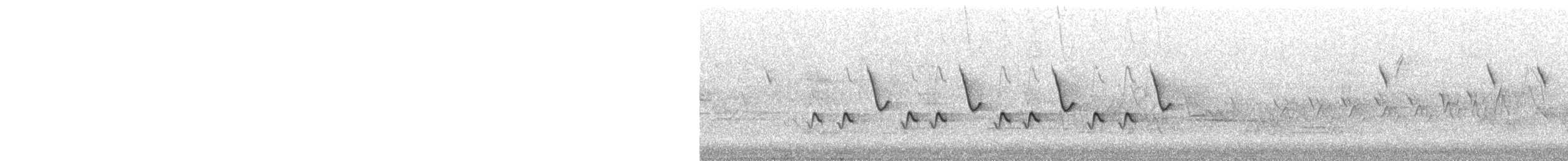 מלכילון אמריקני - ML243077361