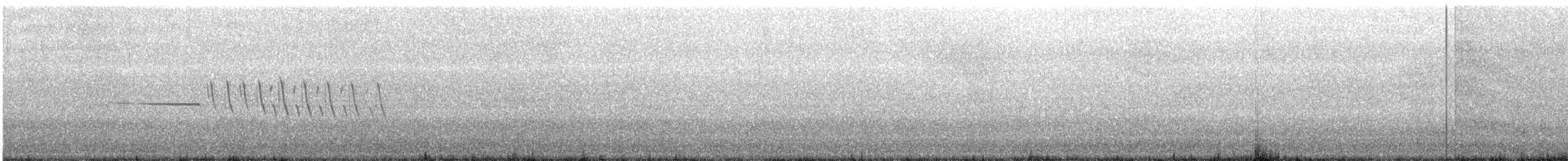 Bruant à couronne blanche - ML243089701