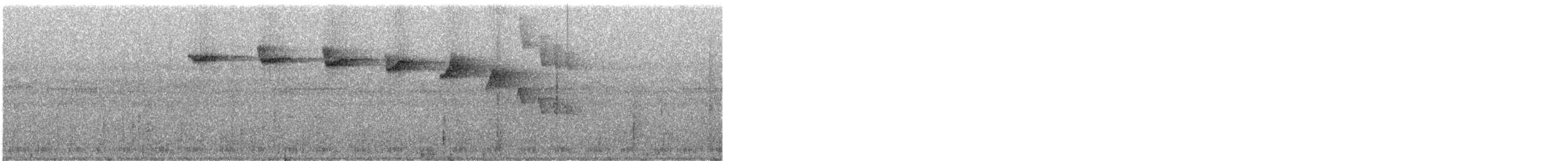 Прямоклювый колибри-отшельник (bourcieri) - ML243116