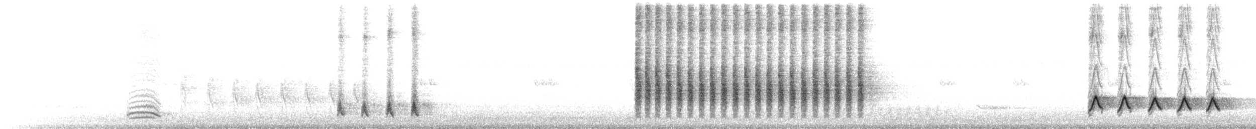 Ictérie polyglotte - ML243120841