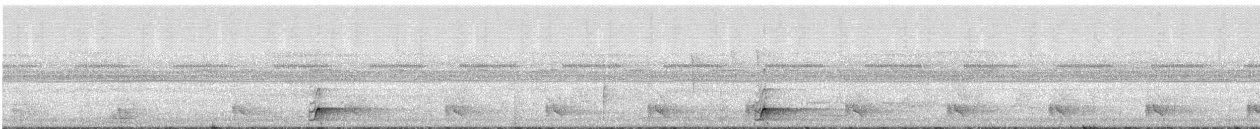 Weißkehl-Ameisendrossel - ML243129