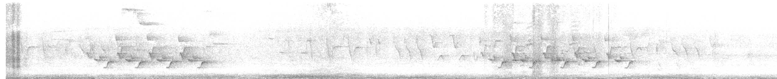 Carolina Wren - ML243139801