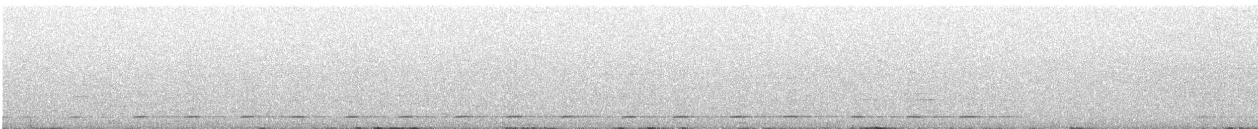 Northern Saw-whet Owl - ML243166901