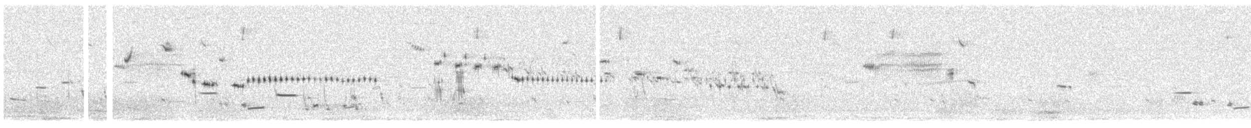 Baird's Sparrow - ML243182151