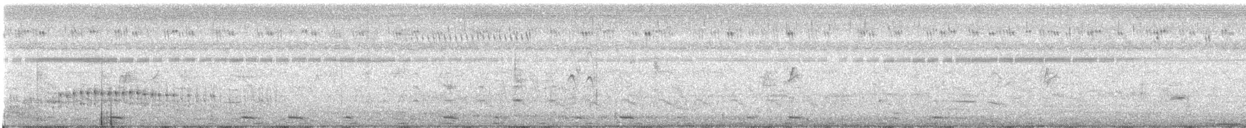 Dendrocygne siffleur - ML243193731