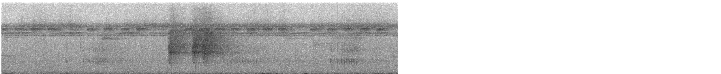 Kara Karınlı Sincap Guguğu - ML243202