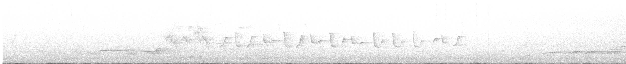 budníček menší (ssp. tristis) - ML243210031