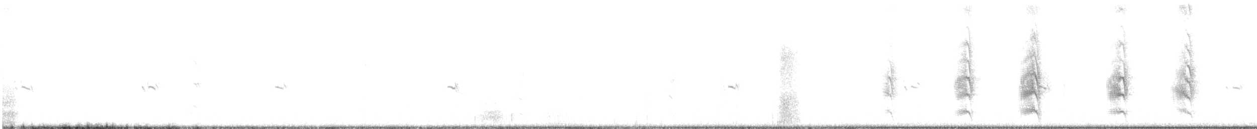 Antillenseeschwalbe - ML243216851