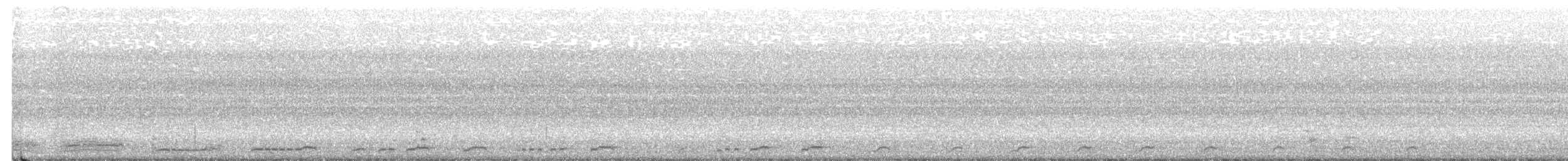 白腹秧雞 - ML243228561
