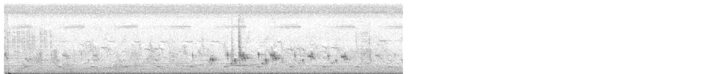 White-breasted Waterhen - ML243228661