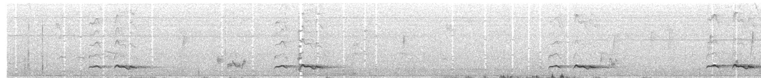 Зозуля білогорла - ML243254481