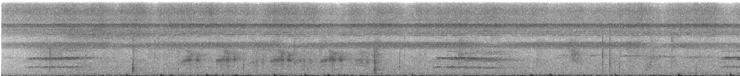 Black-tailed Tityra (Western) - ML243256