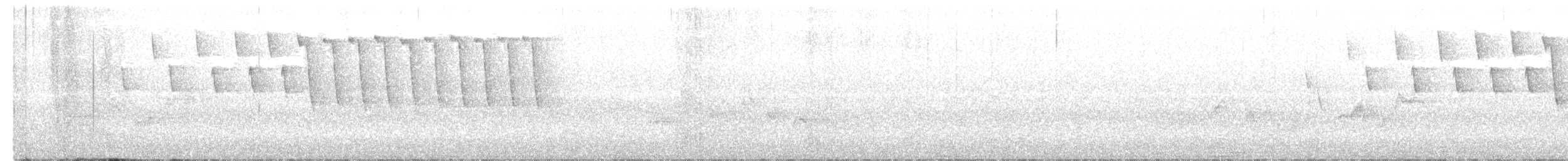 Tennessee Warbler - ML243265161