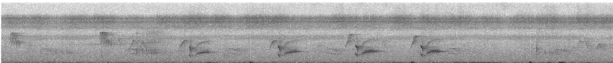 blåkronemanakin (coronata gr.) - ML243269