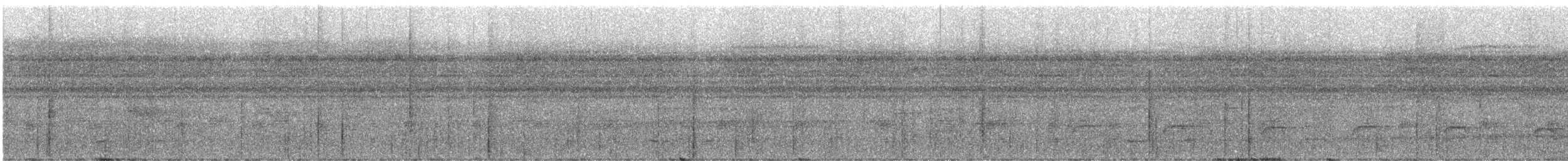 Лінивка-коротун бура - ML243274