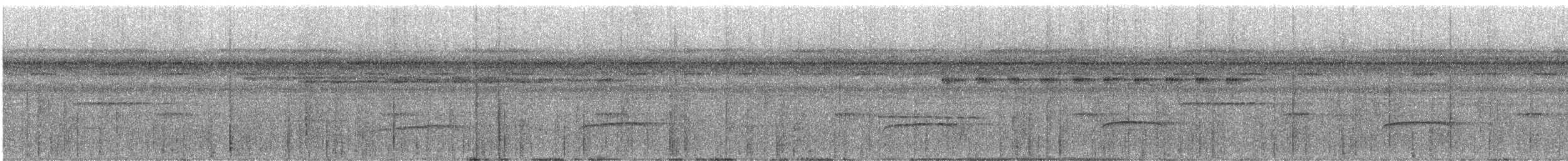 Лінивка-коротун бура - ML243275