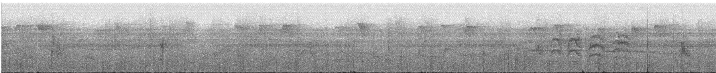 Пестрогорлый алапи (fjeldsaai) - ML243279