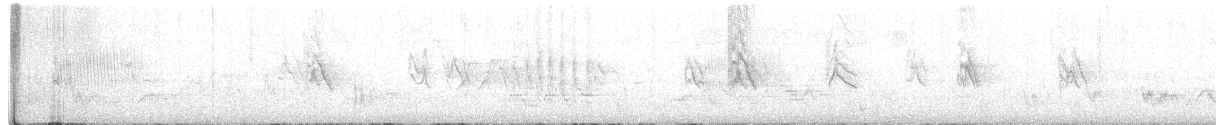 Pine Siskin - ML243303481