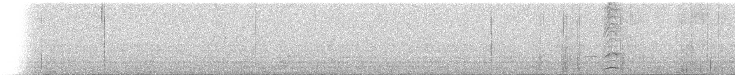Northern Lapwing - ML243311621