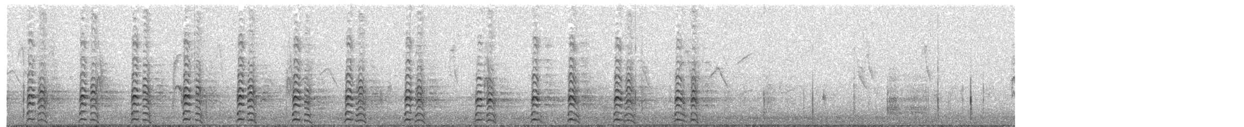 Gallinule d'Amérique - ML243330001