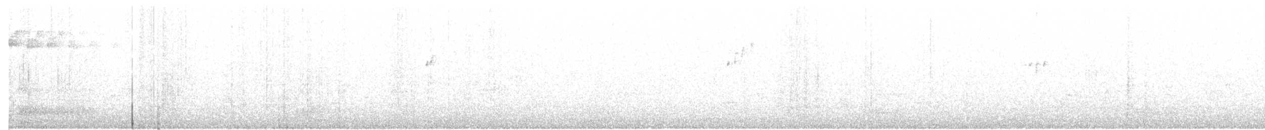 Blackpoll Warbler - ML243338301