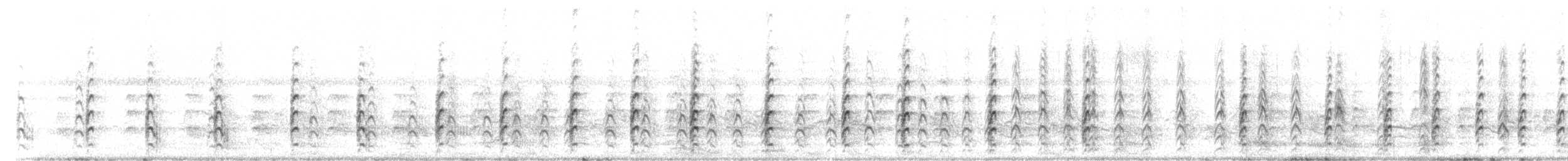 Black-necked Stilt - ML243367301