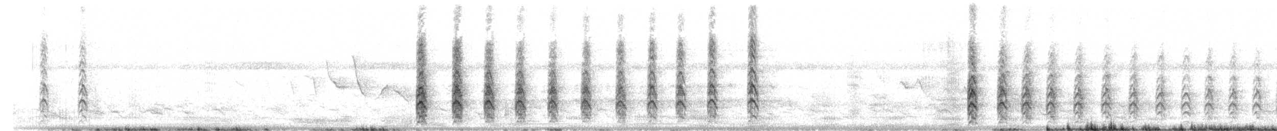 Black-necked Stilt - ML243367381