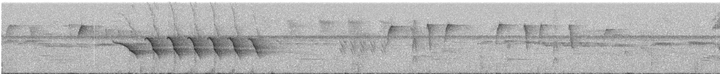 klatremaurvarsler (anabatinus gr.) - ML243394