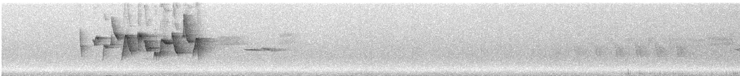 Canada Warbler - ML243395251