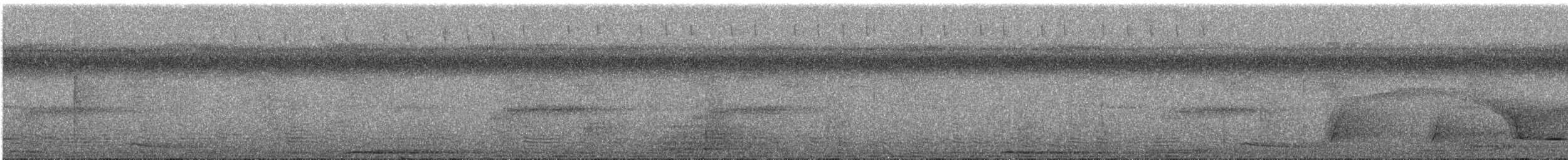 Краснокрылая земляная кукушка - ML243405001