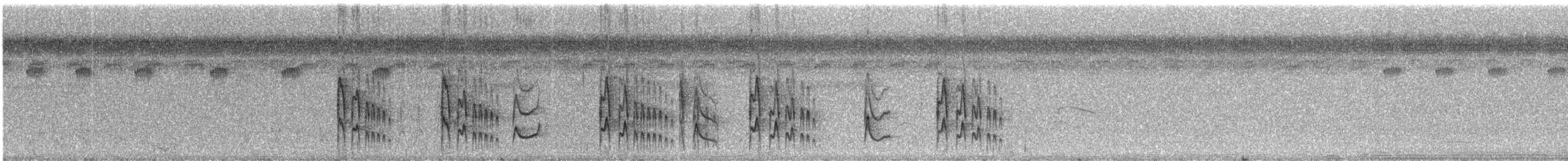 småviftetyrann - ML243412