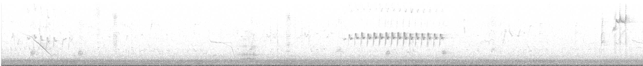 Білолобик бурий - ML243416971