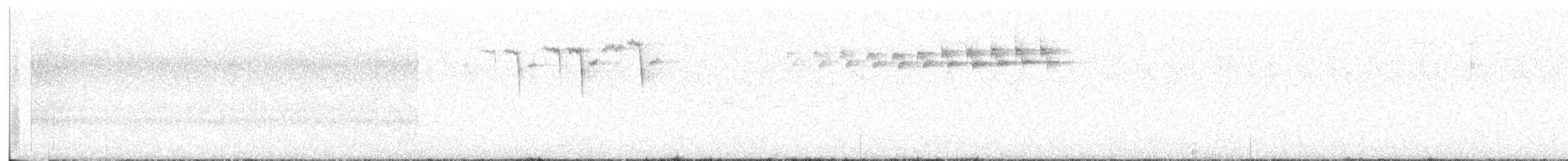 Blackpoll Warbler - ML243426131