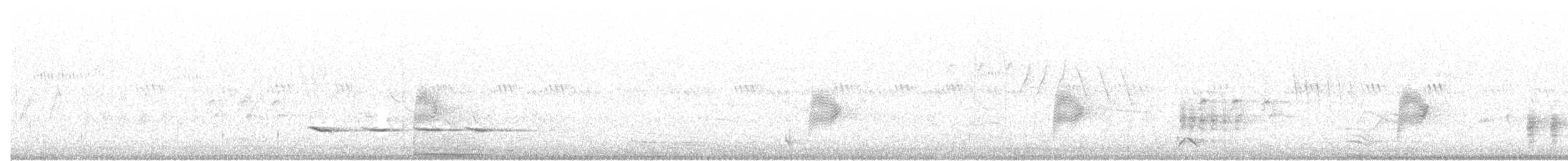 Common Nighthawk - ML243444771