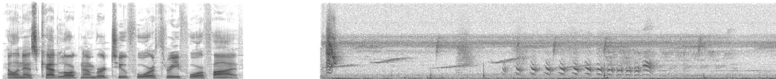 Moustached Wren - ML24345