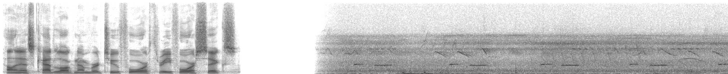 Chestnut-headed Crake - ML24346