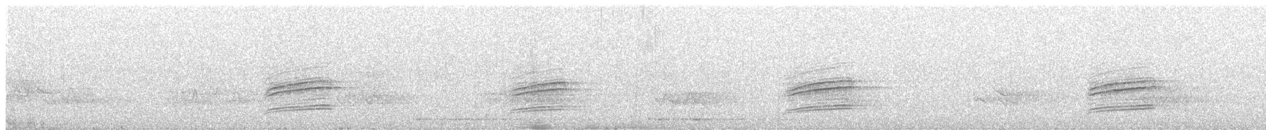 Дрізд-короткодзьоб плямистоволий - ML24346471